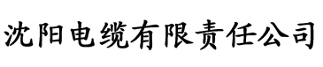 久久久久久精品网红电缆厂logo